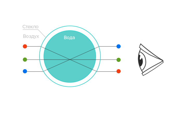 Эксперимент №1. Волшебная вода